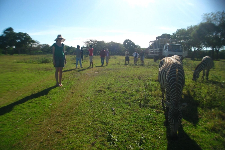 Coron: Calauit Safari Abenteuer