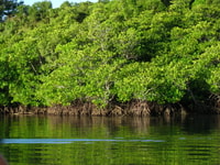 Coron，Calauit Safari冒险 - Housity
