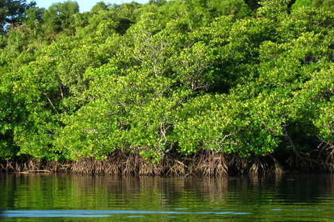 Coron: Calauit Safari Abenteuer