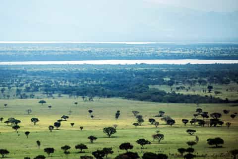 Kampala: 3-Day Murchison Falls Safari