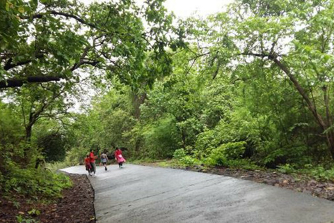 From Mumbai: Sanjay Gandhi Park Safari & Kanheri Caves Tour Mumbai: Sanjay Gandhi Park Safari & Kanheri Caves Tour