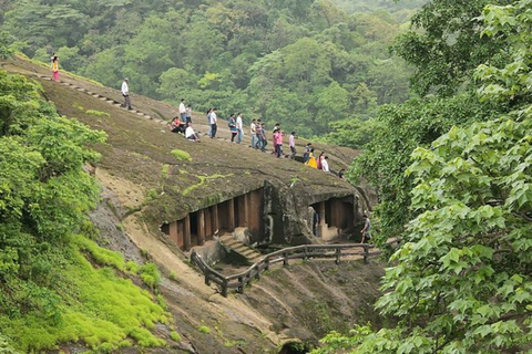 From Mumbai: Sanjay Gandhi Park Safari & Kanheri Caves Tour Mumbai: Sanjay Gandhi Park Safari & Kanheri Caves Tour