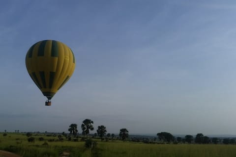 Murchison Falls: Hot Air Balloon Ride with Breakfast