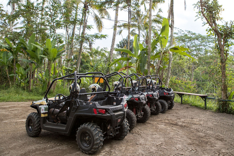 Ubud: Cycling, Jungle Buggies, and White Water Rafting Single Buggy