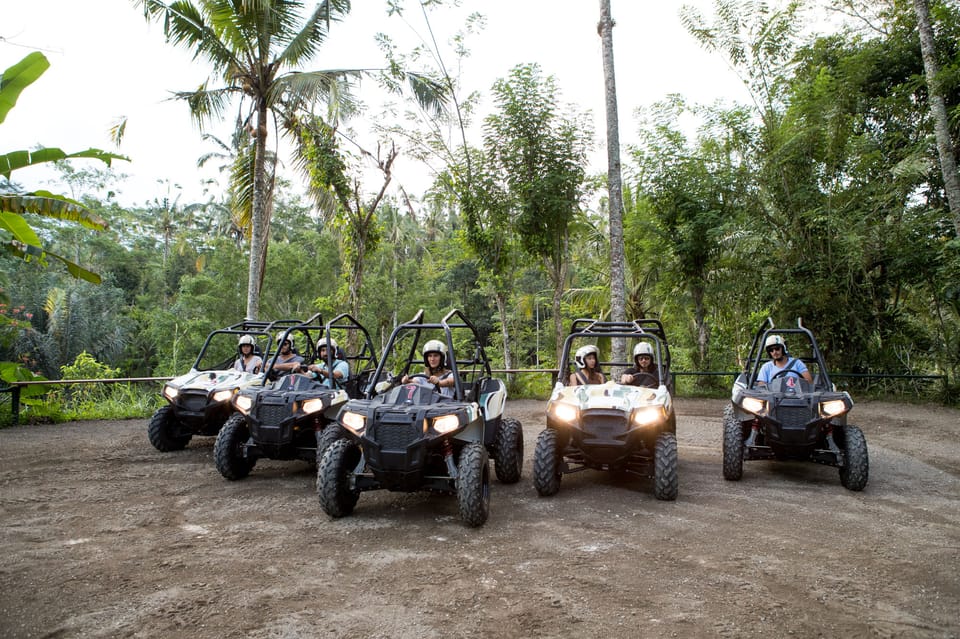 Jungle store buggy ride