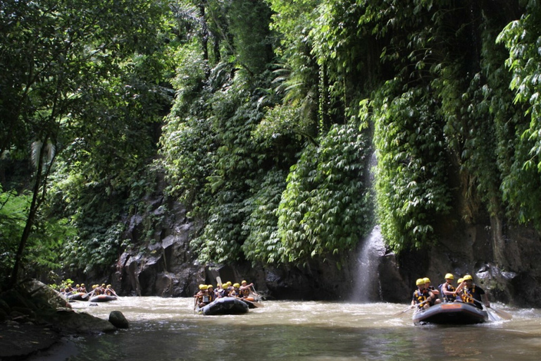 Ubud: Cycling, Jungle Buggies, and White Water Rafting Single Buggy