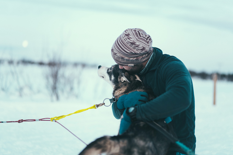 Tromsø: Avventura in slitta trainata da cani Husky in autonomiaTromsø: guida autonoma su slitta trainata da cani Husky