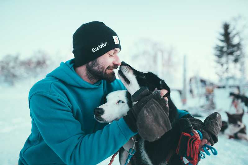 Tromsø: Aventura em Trenó Conduzido por Cães Husky