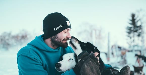 Tromsø: Self-Drive Husky Dog Sledding Adventure