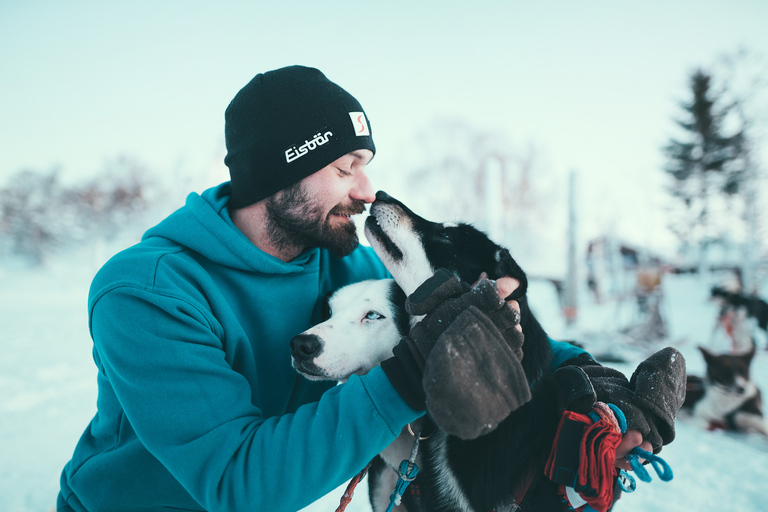 Tromsø: Självkörande hundspannäventyr med HuskyTromsø: Kör ett eget hundspann med huskyhundar