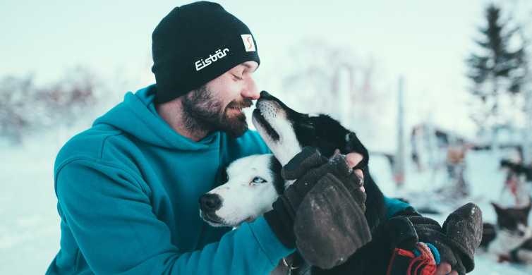 Tromsø Self Drive Husky Dog Sledding Adventure
