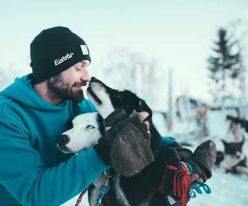 Tromsø: Aventura en trineo tirado por perros huskies en coche