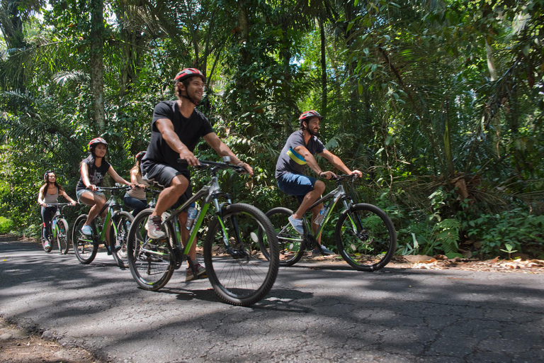 Bali: Mount Batur Mountainbike-Abenteuer mit Mittagessen