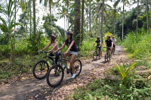 Bali: Mount Batur Mountainbike-Abenteuer mit Mittagessen