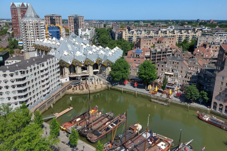 Rotterdam : Visite guidée des points forts et de l'artRotterdam : Visite guidée privée des monuments et de l'art