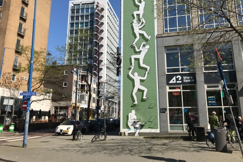 Rotterdam: najważniejsze atrakcje i piesza wycieczka po sztuceRotterdam: prywatne atrakcje i wycieczka artystyczna