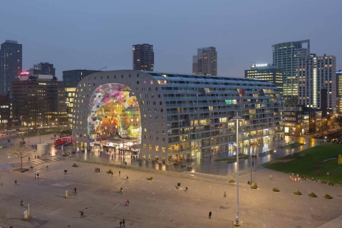 Rotterdam: Lo más destacado y el arte a pieRotterdam: Recorrido privado por los lugares más destacados y el arte