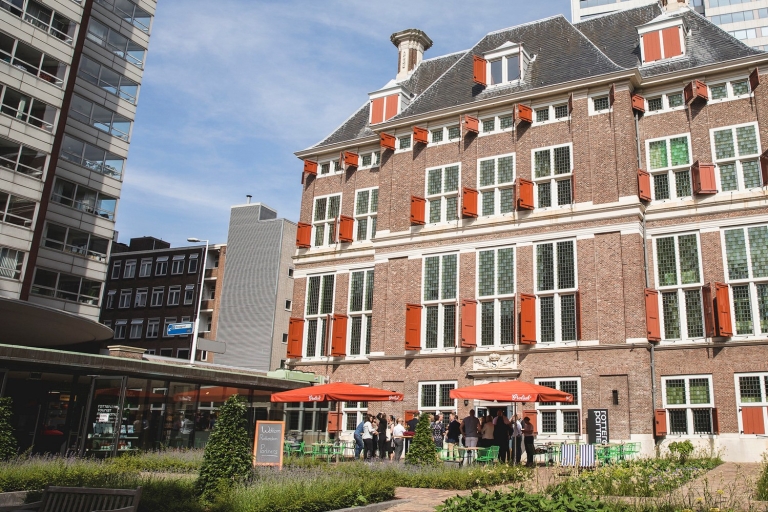 Rotterdam: Lo más destacado y el arte a pieRotterdam: Recorrido privado por los lugares más destacados y el arte