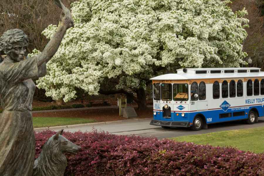 Savannah: 1,5-stündige geführte Trolley-Tour mit Shuttle-Service. Foto: GetYourGuide