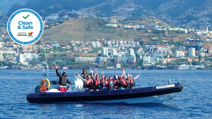 dolphin whale watching tour 2 hours