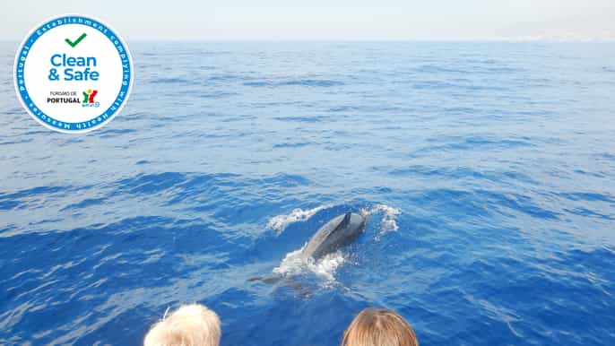 funchal private boat tour
