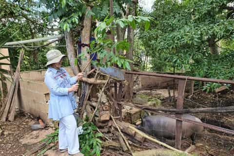 From Merida: Private Tour, Mayas from Yesterday & Today