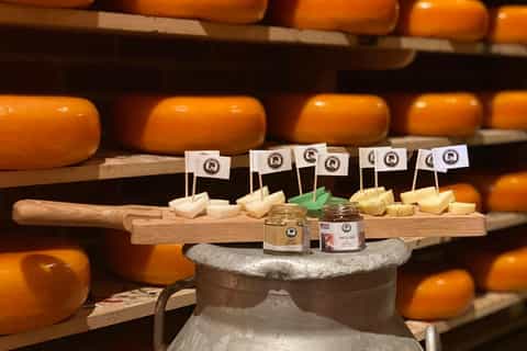 Volendam: Local Cheese Tasting Experience