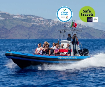 Funchal : Croisière d'observation des baleines et des dauphins