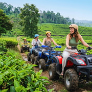 From Bandung: Ciwidey ATV, Tea Plantation & Hot Springs Tour