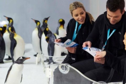 Melbourne: Penguin Passport Experience at SEA LIFE