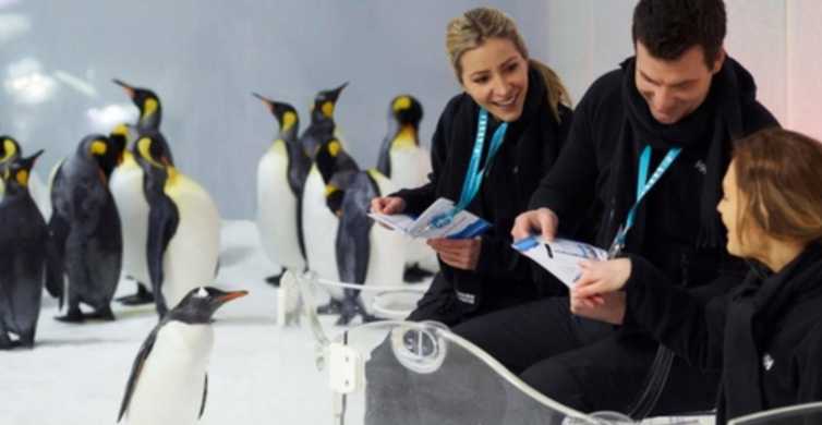 Melbourne Penguin Passport Experience at SEA LIFE