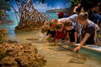 Boston CityPASS®, Save 45% at 4 Top Attractions - Housity