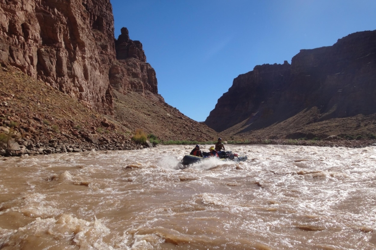 Desde Moab: experiencia de rafting en cataratas en Whitewater