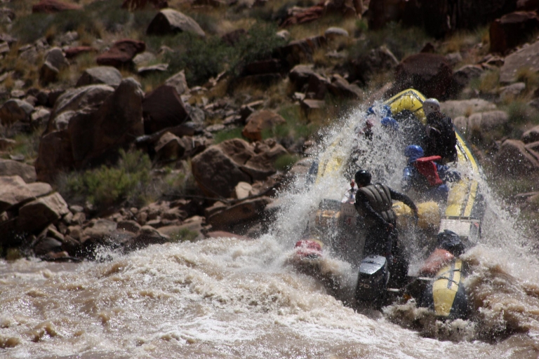 Von Moab: Cataract Canyon Wildwasser-Rafting-Erlebnis