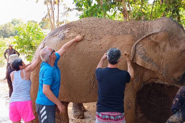 Siem Reap: Elephant Sanctuary Cambodia, Pickup and Drop Off