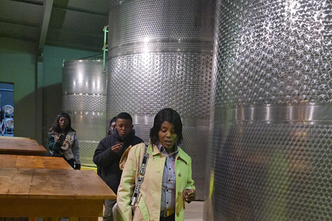 Cape Town: Cruise Passengers sunset Safari & Wine Tour