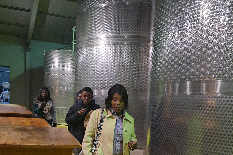 Cape Town: Cruise Passengers sunset Safari & Wine Tour