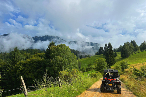 Bucareste: Santuário dos Ursos Pardos e Passeio de Quadriciclo