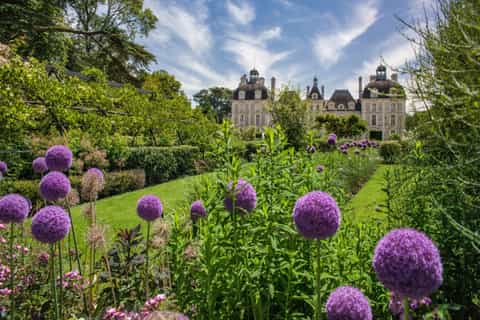 From Le Mans: Loire Valley Cycling Tour