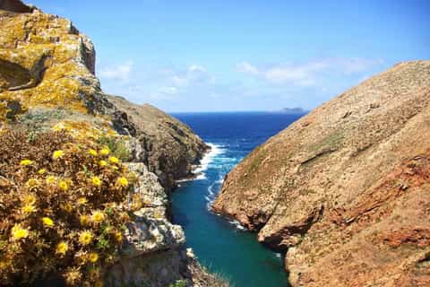 Peniche: Berlengas Island Round-Trip Ferry