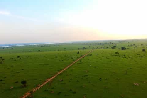 Murchison Falls: Hot Air Balloon Ride with Breakfast