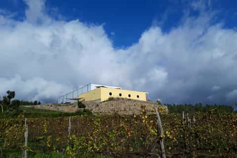 celorico de basto quinta de santa cristina winery tour