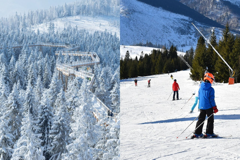 Von Krakau aus: Slovakia Treetop Walk & 4-Stunden-SkipassSlowakei Baumkronenwanderung & Skipass mit Ausrüstung & Instruktor