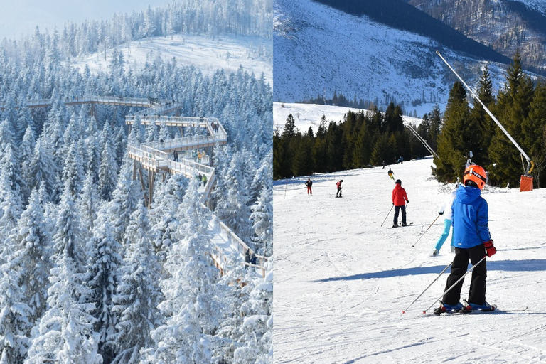 Von Krakau aus: Slovakia Treetop Walk & 4-Stunden-SkipassSlowakei Baumkronenwanderung & Skipass mit Ausrüstung & Instruktor