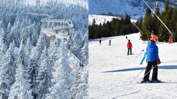from kraków slovakia treetop walk 4hour ski pass