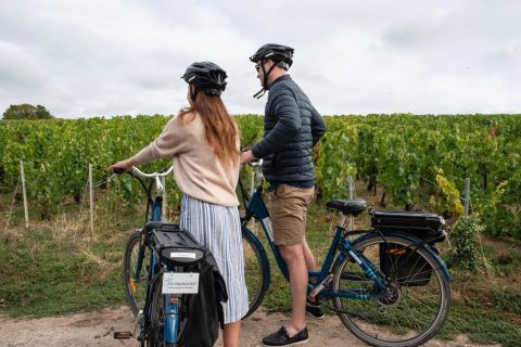 Mareuil-sur-Ay: Self-Guided E-bike Tour to Hautvillers