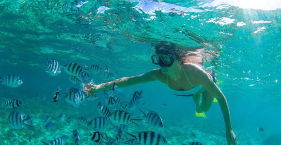 Cabo San Lucas: Cabo Pulmo Snorkeling Expedition
