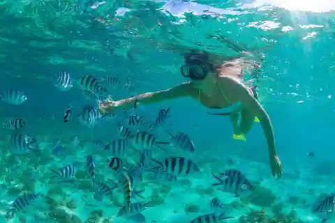 Cabo San Lucas: Cabo Pulmo Snorkeling Expedition