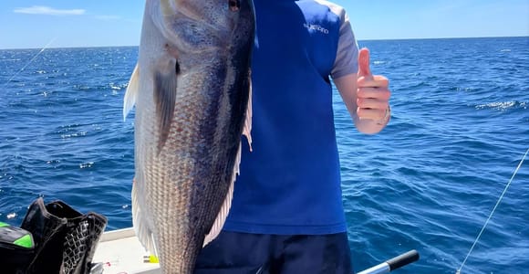 Fishing Trip in Marbella with a Professional Fisherman