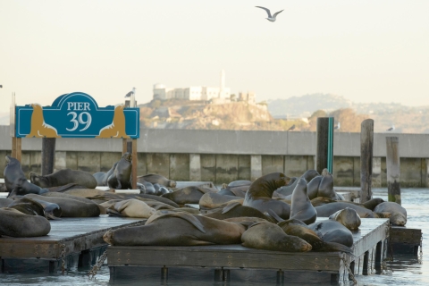 San Francisco CityPASS®: Zaoszczędź 44% w 4 najważniejszych atrakcjach